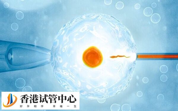 一胎试管二胎试管成功率高不高