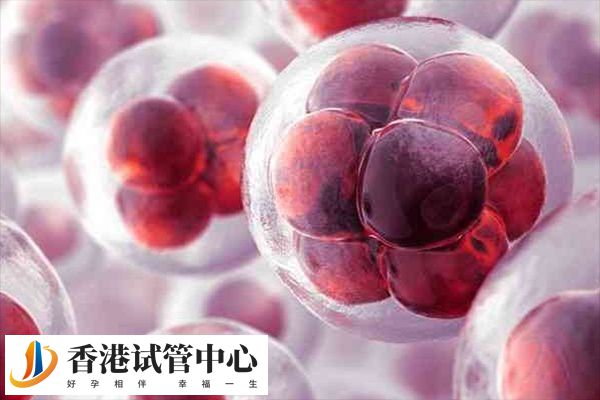 取七个卵一般能配几对胚胎并无固定标准