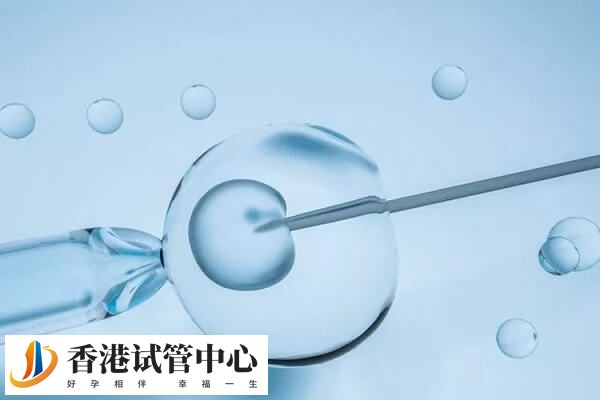 移植胚胎要考虑哪些因素