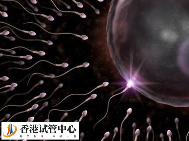 Y精子是携带男性染色体的精子