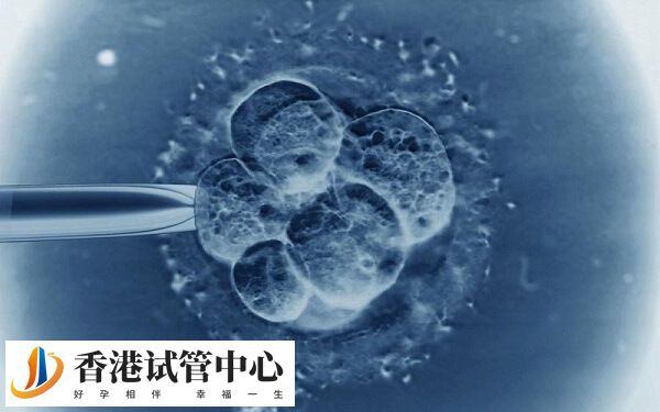 养囊是一个优胜劣汰的过程