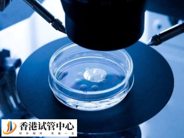 囊胚检测结果大概两三个月出来
