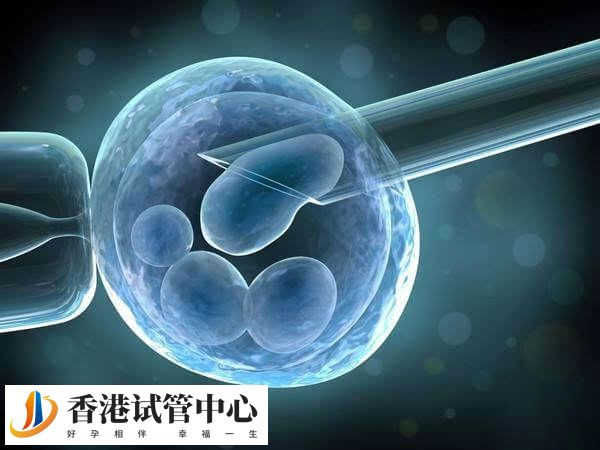 4BA囊胚处于第4期扩张阶段