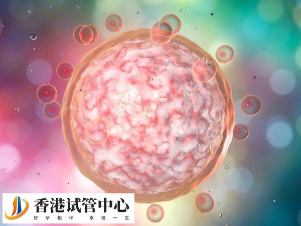 取卵只取了6个机会大不大