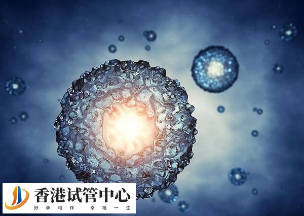 试管第二次移植冻胚的流程